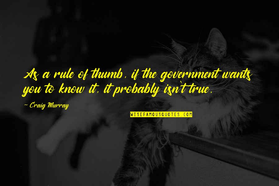 Schimming Realty Quotes By Craig Murray: As a rule of thumb, if the government