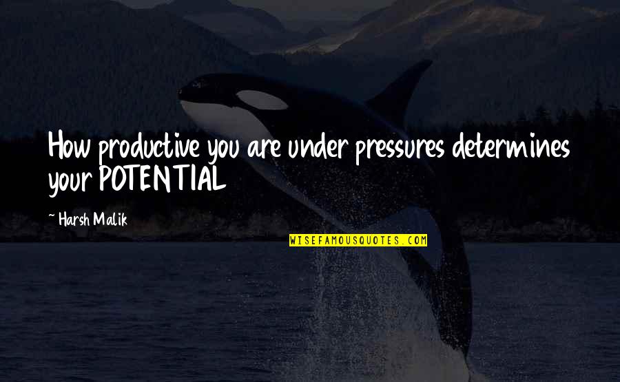 Schindelhauer Viktor Quotes By Harsh Malik: How productive you are under pressures determines your