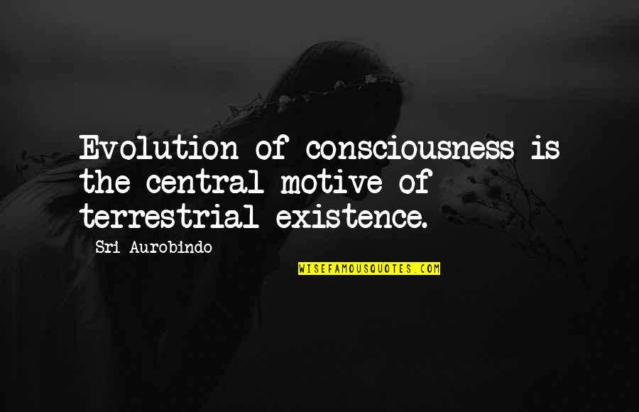 Schindler's Ark Quotes By Sri Aurobindo: Evolution of consciousness is the central motive of