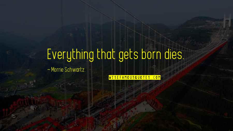 Schipperts Quotes By Morrie Schwartz.: Everything that gets born dies. Schipperts Quotes By Morrie Schwartz.: Everything that gets born dies.