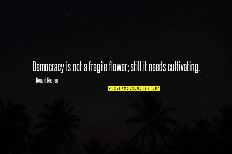 Schitzo Quotes By Ronald Reagan: Democracy is not a fragile flower; still it Schitzo Quotes By Ronald Reagan: Democracy is not a fragile flower; still it