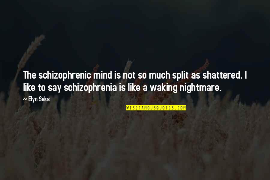 Schizophrenia Schizophrenia Quotes By Elyn Saks: The schizophrenic mind is not so much split