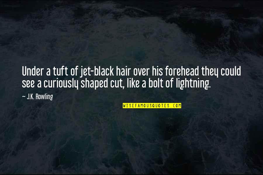 Schlecker Quotes By J.K. Rowling: Under a tuft of jet-black hair over his