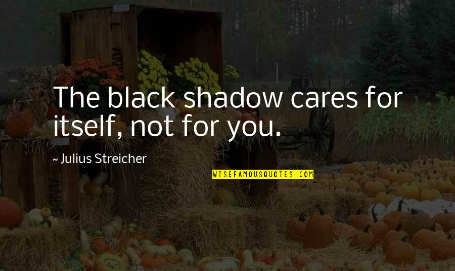 Schleese Girth Quotes By Julius Streicher: The black shadow cares for itself, not for Schleese Girth Quotes By Julius Streicher: The black shadow cares for itself, not for