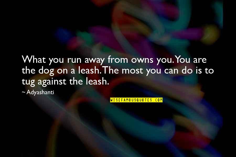 Schlener Jewelry Quotes By Adyashanti: What you run away from owns you. You