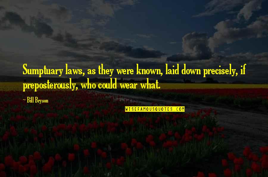 Schlepped Away Quotes By Bill Bryson: Sumptuary laws, as they were known, laid down