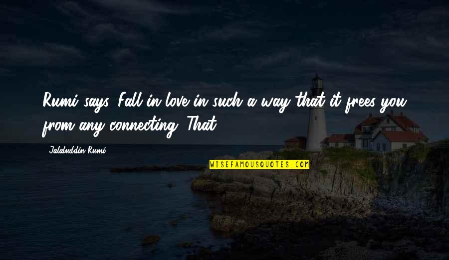 Schleppis Quotes By Jalaluddin Rumi: Rumi says, Fall in love in such a