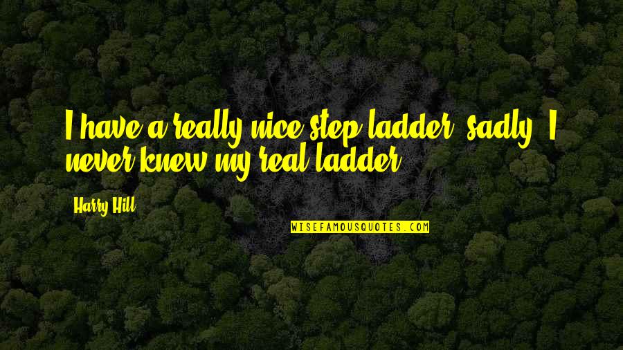 Schlessman Family Branch Quotes By Harry Hill: I have a really nice step ladder, sadly,