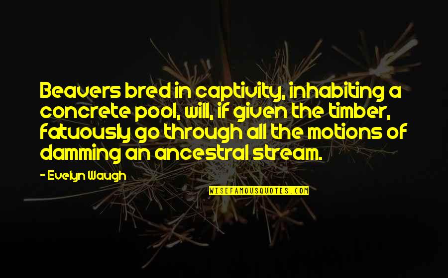 Schleyer Kidnapping Quotes By Evelyn Waugh: Beavers bred in captivity, inhabiting a concrete pool,