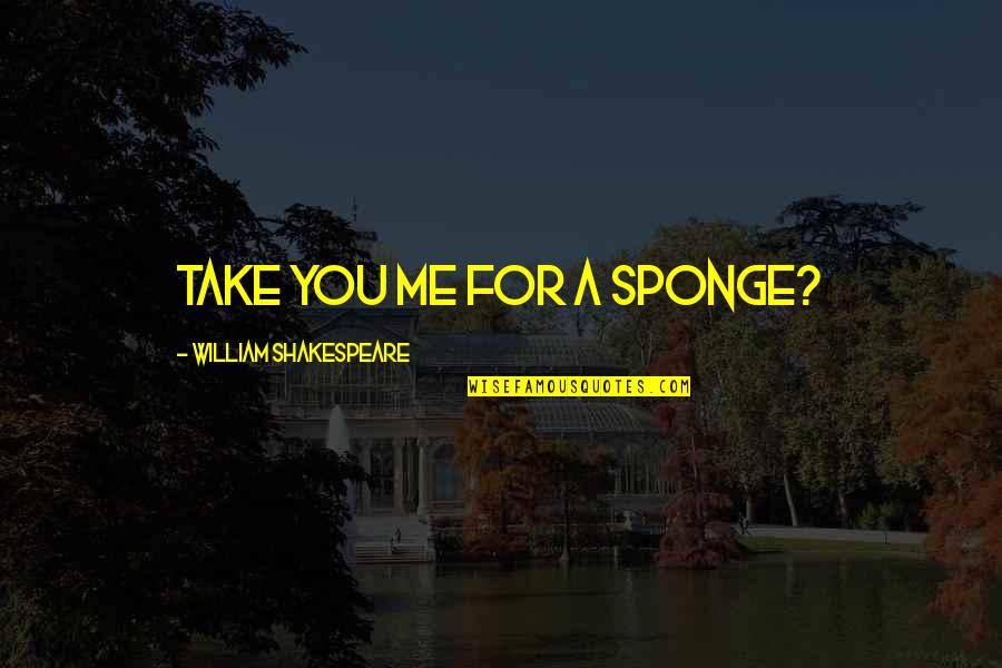Schlossers Hood Quotes By William Shakespeare: Take you me for a sponge?