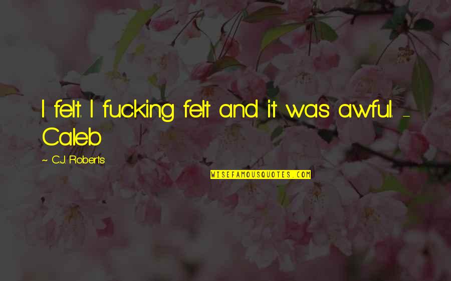 Schlumberger Layoffs Quotes By C.J. Roberts: I felt. I fucking felt and it was Schlumberger Layoffs Quotes By C.J. Roberts: I felt. I fucking felt and it was