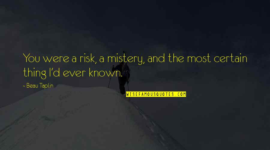 Schmidthoffer Quotes By Beau Taplin: You were a risk, a mistery, and the