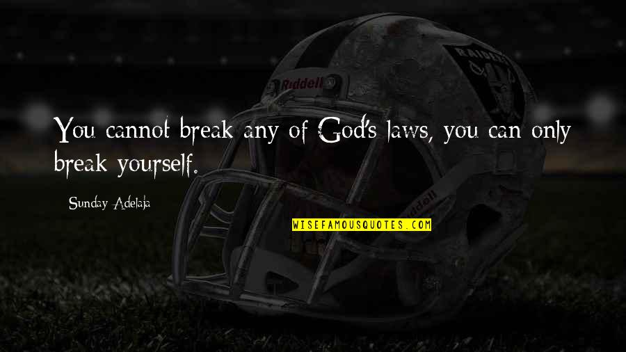 Schmidthoffer Quotes By Sunday Adelaja: You cannot break any of God's laws, you Schmidthoffer Quotes By Sunday Adelaja: You cannot break any of God's laws, you