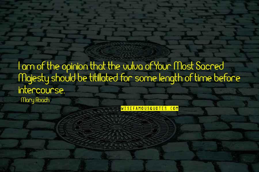 Schmookys Laundromat Quotes By Mary Roach: I am of the opinion that the vulva Schmookys Laundromat Quotes By Mary Roach: I am of the opinion that the vulva