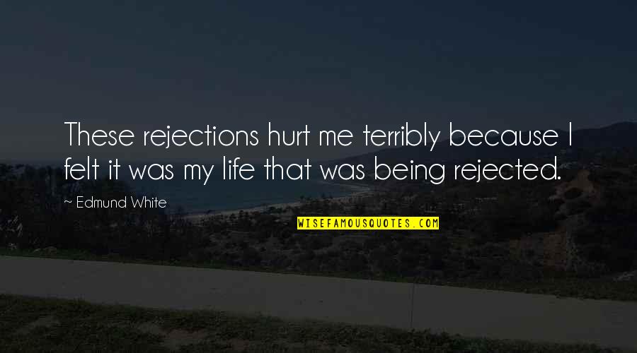 Schmoozers Exchange Quotes By Edmund White: These rejections hurt me terribly because I felt Schmoozers Exchange Quotes By Edmund White: These rejections hurt me terribly because I felt