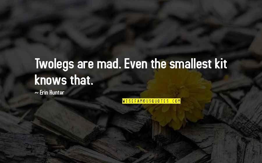 Schnebleys Quotes By Erin Hunter: Twolegs are mad. Even the smallest kit knows Schnebleys Quotes By Erin Hunter: Twolegs are mad. Even the smallest kit knows