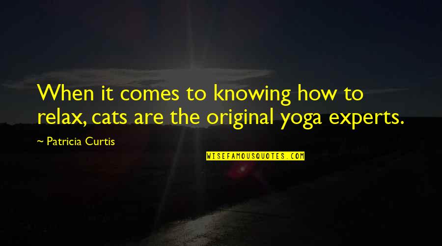 Schneebeli Hydraulique Quotes By Patricia Curtis: When it comes to knowing how to relax,