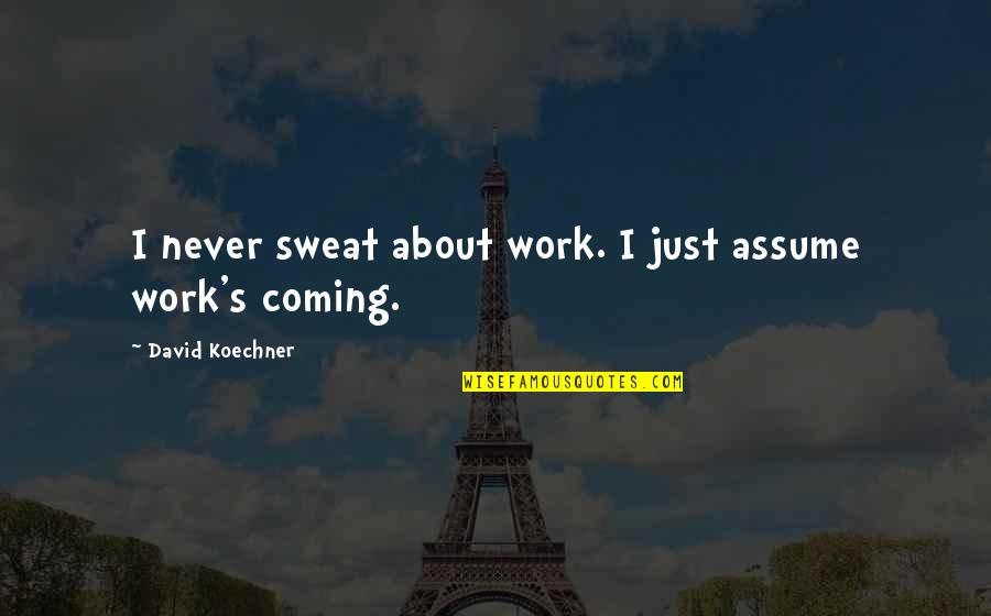Schneeberger Cass Quotes By David Koechner: I never sweat about work. I just assume Schneeberger Cass Quotes By David Koechner: I never sweat about work. I just assume