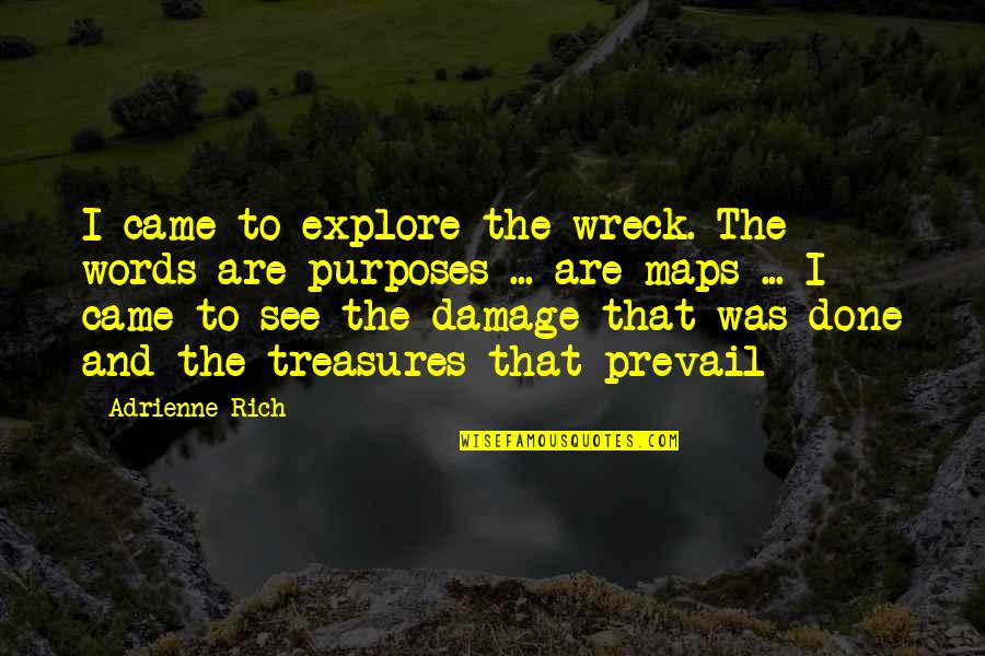 Schneeflocken Aus Quotes By Adrienne Rich: I came to explore the wreck. The words Schneeflocken Aus Quotes By Adrienne Rich: I came to explore the wreck. The words