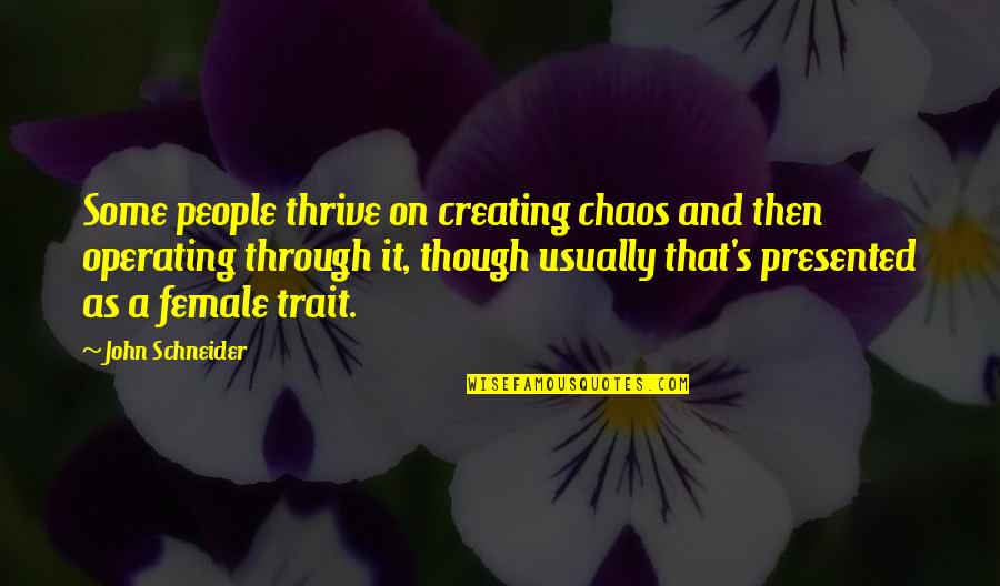 Schneider's Quotes By John Schneider: Some people thrive on creating chaos and then