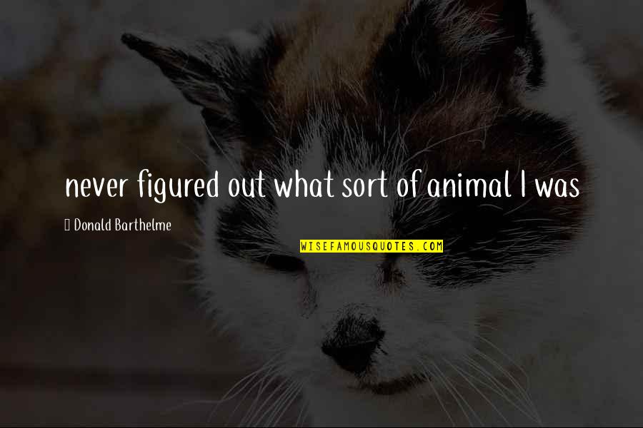 Schnepf Farm Quotes By Donald Barthelme: never figured out what sort of animal I