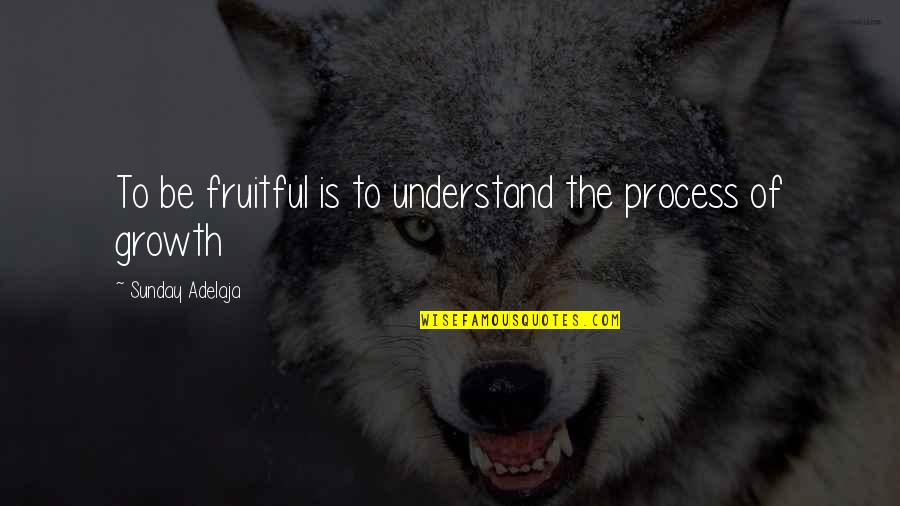 Schnera Quotes By Sunday Adelaja: To be fruitful is to understand the process