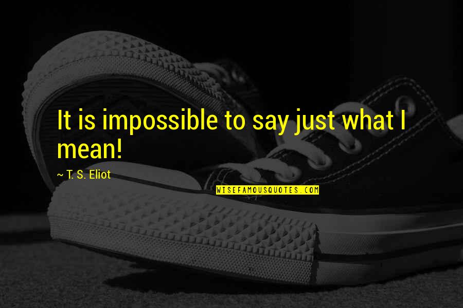 Schnierow Quotes By T. S. Eliot: It is impossible to say just what I Schnierow Quotes By T. S. Eliot: It is impossible to say just what I