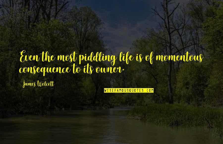 Schoen Quotes By James Wolcott: Even the most piddling life is of momentous