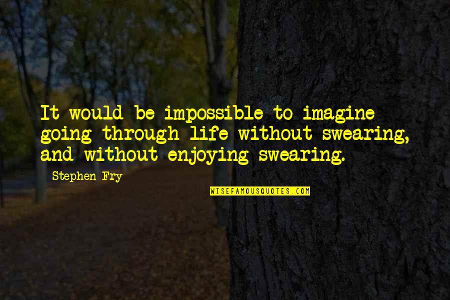 Schoener Quotes By Stephen Fry: It would be impossible to imagine going through