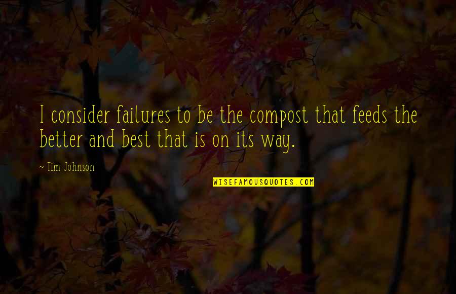 Schoenewald Fine Quotes By Tim Johnson: I consider failures to be the compost that