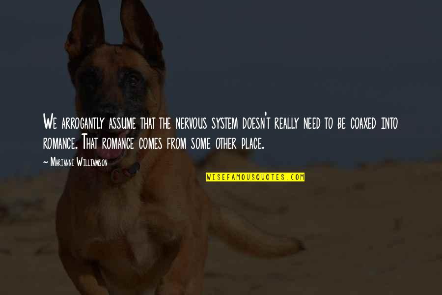 Scholarrship Quotes By Marianne Williamson: We arrogantly assume that the nervous system doesn't