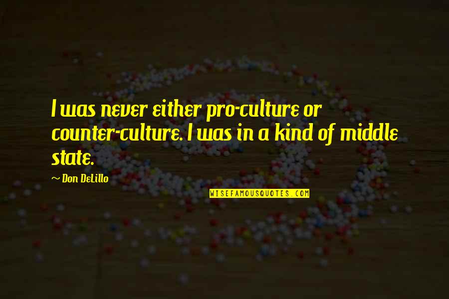 Scholem Slaughter Quotes By Don DeLillo: I was never either pro-culture or counter-culture. I