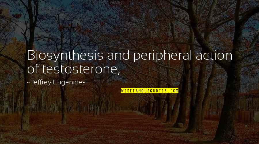 Schomacker Gold Quotes By Jeffrey Eugenides: Biosynthesis and peripheral action of testosterone,
