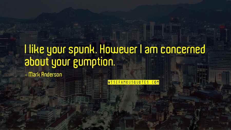 Schomaker Distillery Quotes By Mark Anderson: I like your spunk. However I am concerned Schomaker Distillery Quotes By Mark Anderson: I like your spunk. However I am concerned