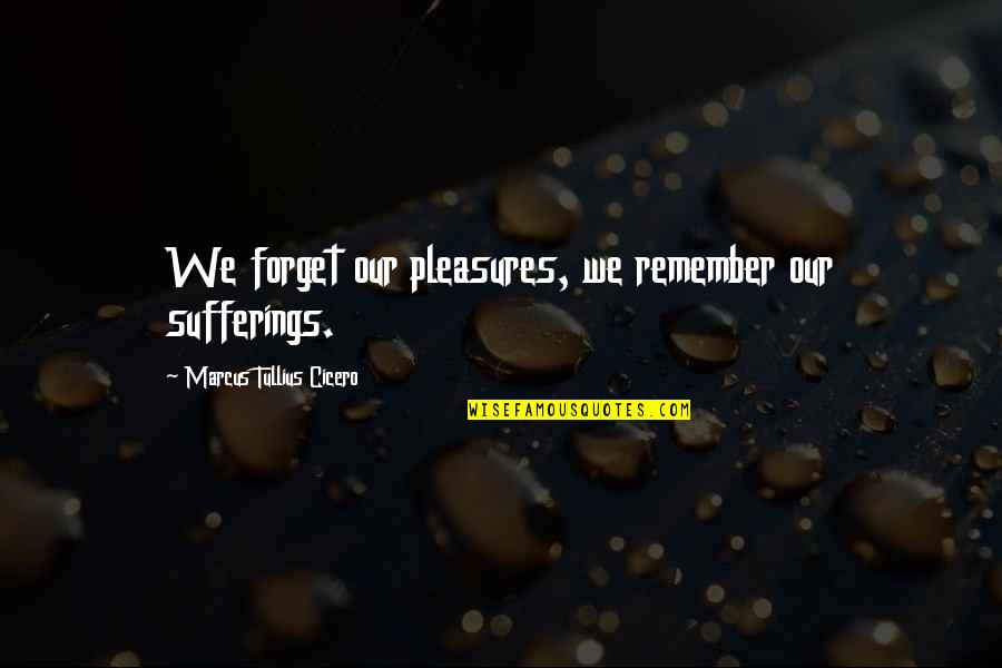 Schonstedt Instrument Quotes By Marcus Tullius Cicero: We forget our pleasures, we remember our sufferings. Schonstedt Instrument Quotes By Marcus Tullius Cicero: We forget our pleasures, we remember our sufferings.