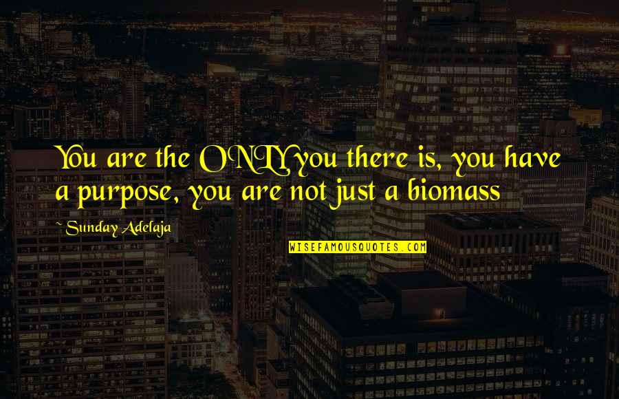 Schontepler Quotes By Sunday Adelaja: You are the ONLY you there is, you
