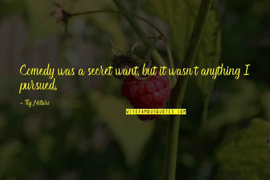 School Bus Driver Inspirational Quotes By Tig Notaro: Comedy was a secret want, but it wasn't