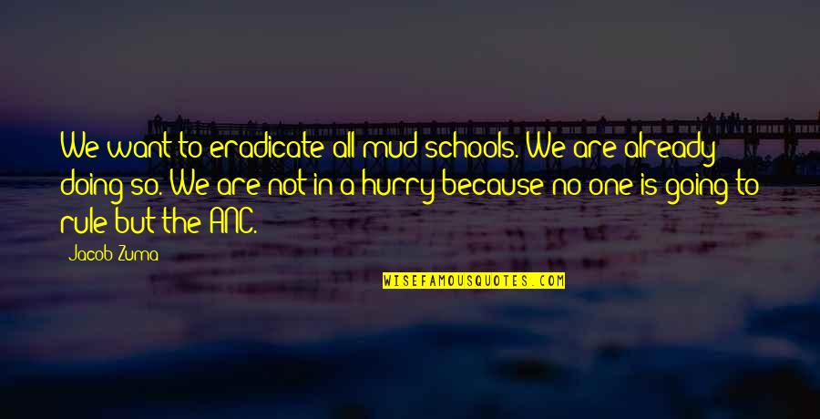 School But Quotes By Jacob Zuma: We want to eradicate all mud schools. We