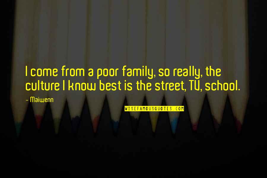 School Culture Quotes By Maiwenn: I come from a poor family, so really,