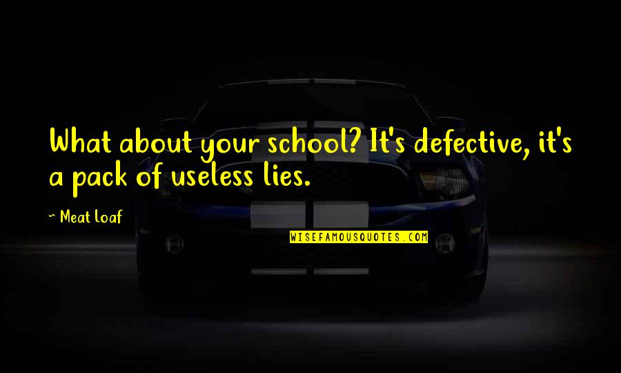 School Is Useless Quotes By Meat Loaf: What about your school? It's defective, it's a