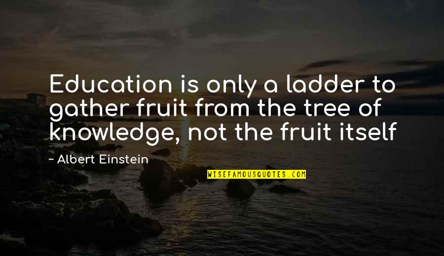School Knowledge Quotes By Albert Einstein: Education is only a ladder to gather fruit