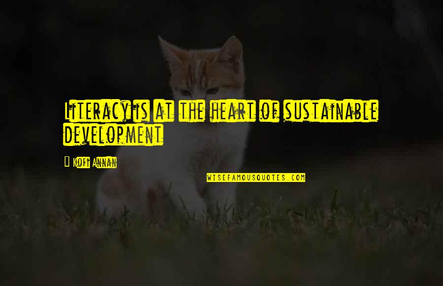School Life Rocks Quotes By Kofi Annan: Literacy is at the heart of sustainable development