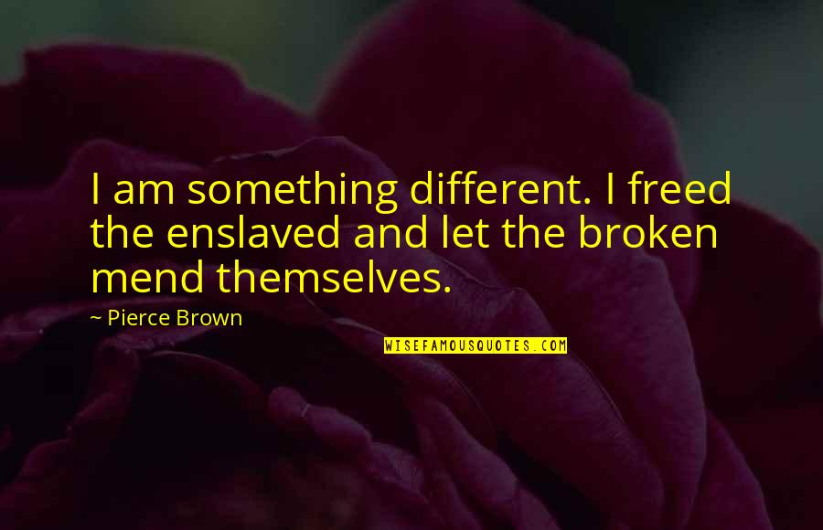 School Massacre Quotes By Pierce Brown: I am something different. I freed the enslaved