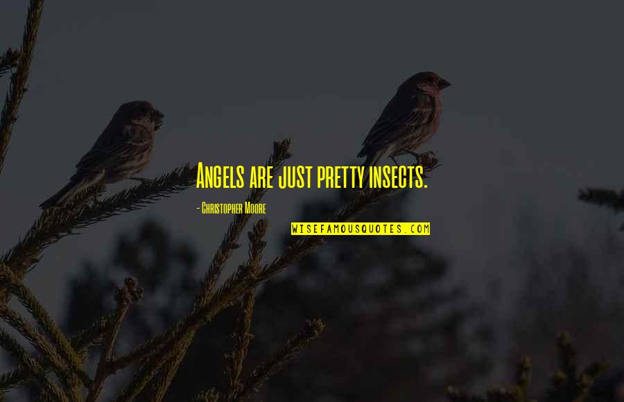 School Message Board Quotes By Christopher Moore: Angels are just pretty insects.
