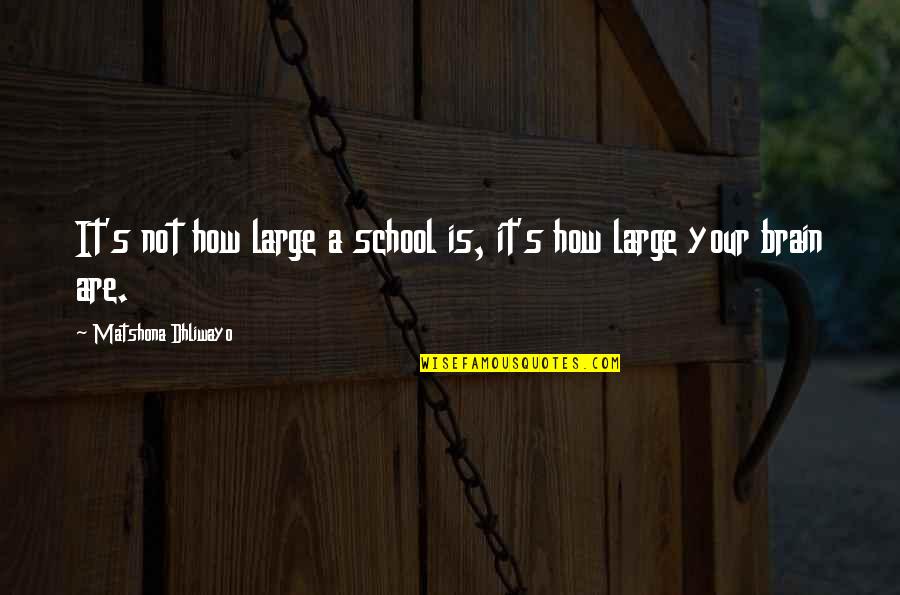 School Quotes Quotes By Matshona Dhliwayo: It's not how large a school is, it's
