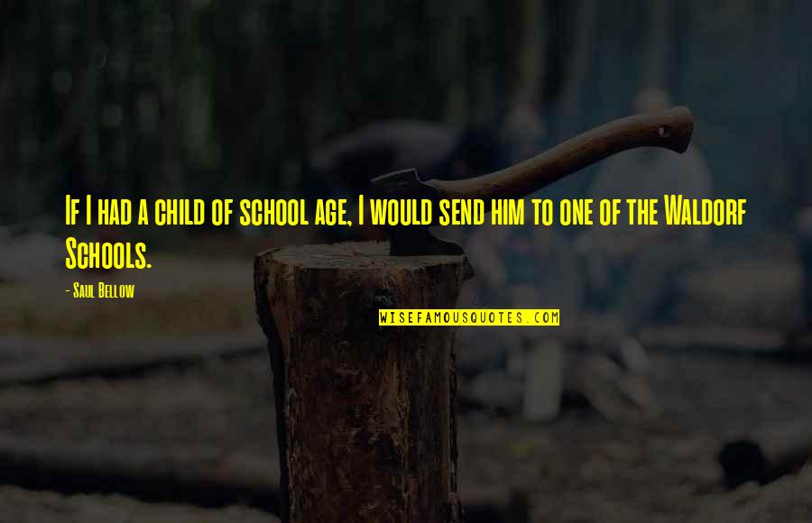 School Schools Quotes By Saul Bellow: If I had a child of school age,