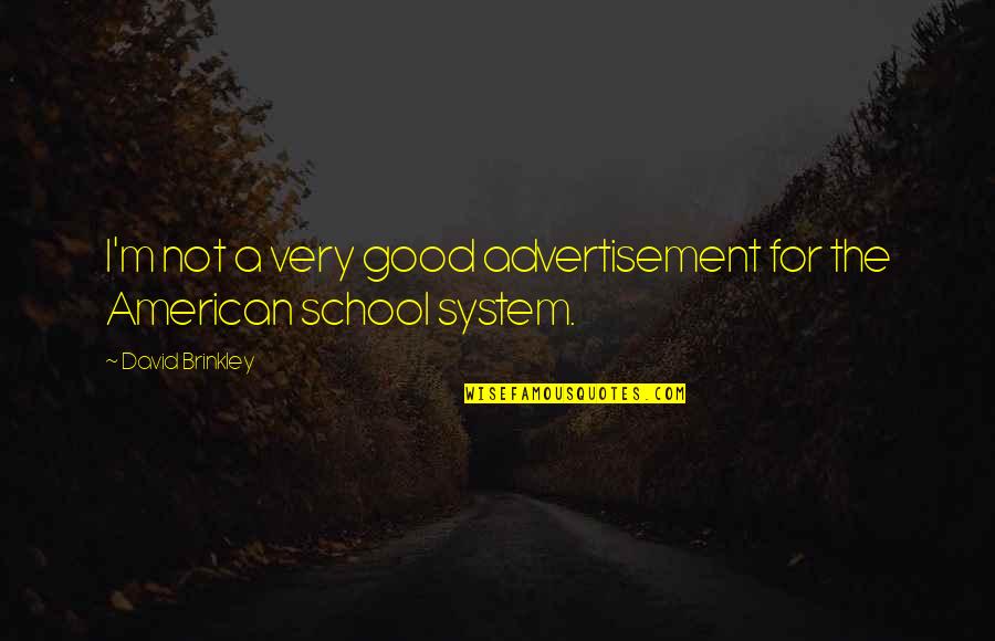 School System Quotes By David Brinkley: I'm not a very good advertisement for the