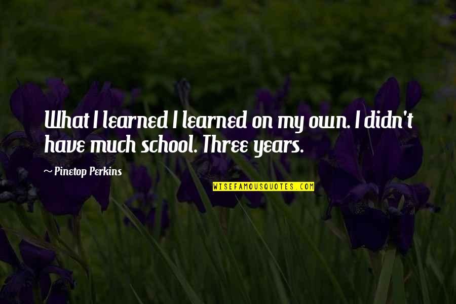 School Years Quotes By Pinetop Perkins: What I learned I learned on my own.