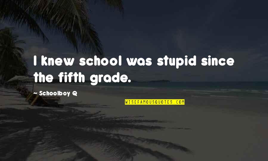 Schoolboy Quotes By Schoolboy Q: I knew school was stupid since the fifth