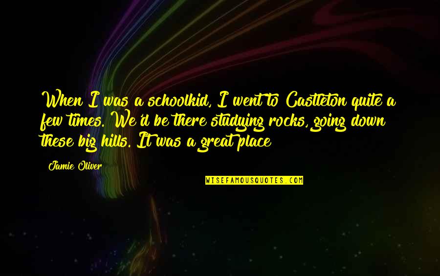 Schoolkid Quotes By Jamie Oliver: When I was a schoolkid, I went to